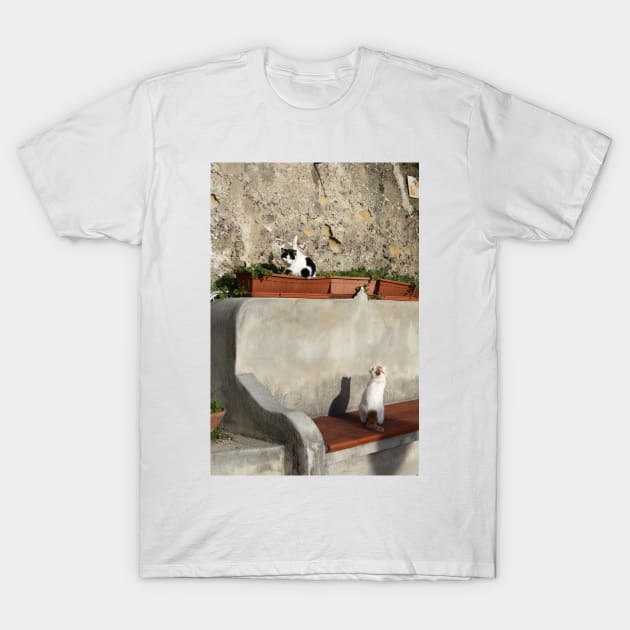 Cat Yoga T-Shirt by Sandraartist